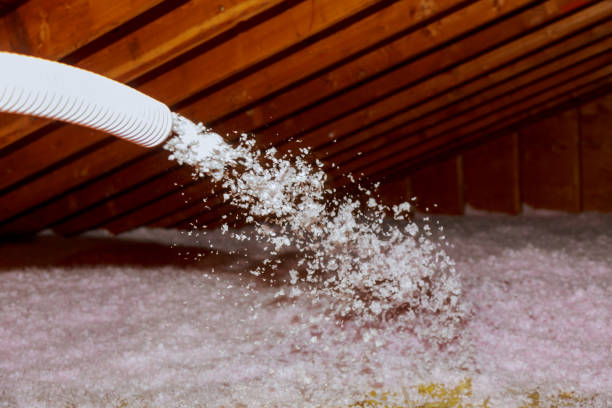 Professional Insulation Contractor in San Miguel, CA